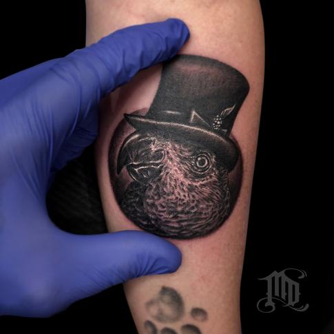 Mike DeVries - Parrot Tattoo